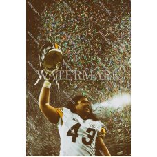DX438 Troy Polamalu Pittsburgh Steelers Champs Oil Painting Photo