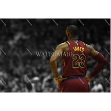 DU257 LeBron James Cleveland Cavaliers Backside Spotlight Photo