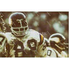 DX117 Alan Page Vikings Game Face Oil Painting Photo
