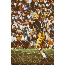 DX129 Bart Starr Throws Bomb SHR Oil Painting Photo