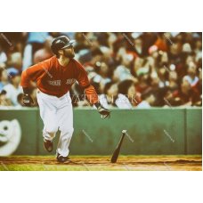 DX182 Dustin Pedroia Boston Red Sox Slugger Oil Painting Photo
