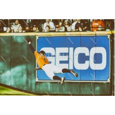 DX211 George Springer Houston Astros Awesome Catch Oil Painting Photo