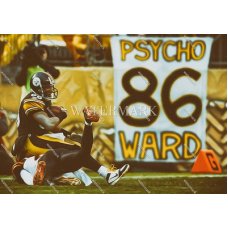 DX218 Hines Ward Pittsburgh Steelers Pose Oil Painting Photo