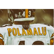 DX437 Troy Polamalu Pittsburgh Steelers Backside View Oil Painting Photo