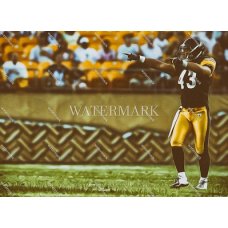 DX440 Troy Polamalu Pittsburgh Steelers In Game Oil Painting Photo