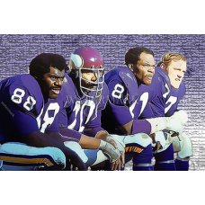 EF347 Purple People Eaters Minnesota Vikings Bench Photo