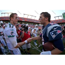 GM635 Tom Brady New England Patriots - Ryan Tannihill Dolphins Photo