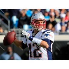GM644 Tom Brady New England Patriots Photo