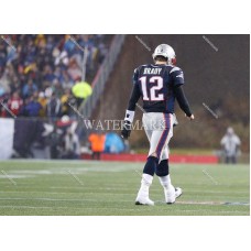 GM646 Tom Brady New England Patriots Photo