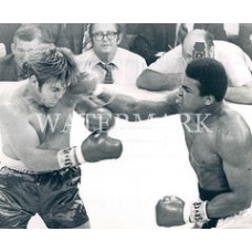 AF340 Muhammad Ali Jerry Quarry Boxing  1970 Photo