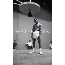 AF349 Muhammed Ali Cassius Clay pose at speed bagAF349 Muhammed Ali Cassius Clay pose at speed bag Photo