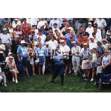 AF629 Tiger Woods chip in crowd Photo