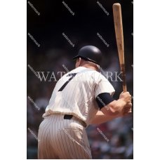 RW760 mickey mantle back view yankees hitting POPArt Photo