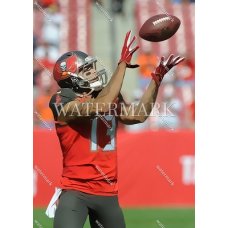 RW769 Mike Evans Tampa Bay Buccaneers Makes Over Shoulder Catch POPArt Photo