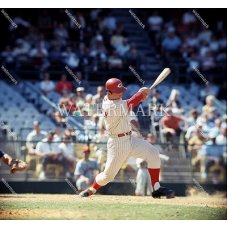 RX486 JOHNNY BENCH Young ROOKIE Star POPArt Photo