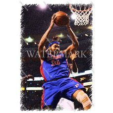 CW193 Rasheed Wallace Detroit Pistons Rebound Etched Photo