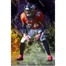 CX523 Champ Bailey Denver Broncos Ready For Action Marbleized Photo