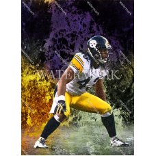 CX732 Troy Polamalu Pittsburgh Steelers Game Face Marbleized Photo