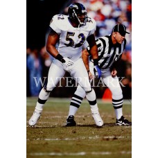 AA645 RAY LEWIS RAVENS ACTION PLAY Photo