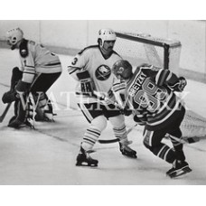 AD777 WAYNE GRETZKY Edmonton Oilers 99 vs Buffalo Sabres Edwards & Dunn Photo
