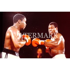 AD082 Larry holmes Heavy Weight Champion boxing Photo