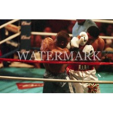 AD560 Roy Jones Jr Julio Gonzalez Boxing on ropes Photo