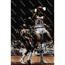 CV100 Lloyd World Bee Free Philadelphia Sixers 76ers  Colorized Photo