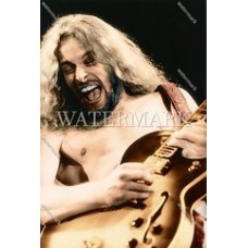  DI523 TED NUGENT Motor City Madman Colorized Photo