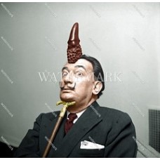 DA228 Salvador Dali Famous Artist Crazy Pose Colorized Photo