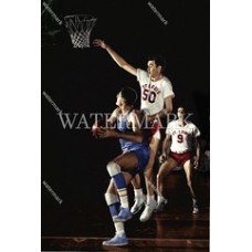  DF794 George Mikan  & Easy Ed Macauley Lakers Colorized Photo
