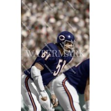  DF763 Dick Butkus CHICAGO BEARS game face Colorized Photo