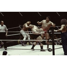  DV937 Andre The Giant Wrestler Big Kick Colorized Photo