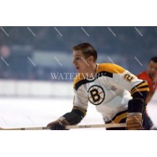 DR655 Boston Bruins Hockey Photo