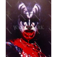 DE447 Gene Simmons KISS Live in Blood Photo
